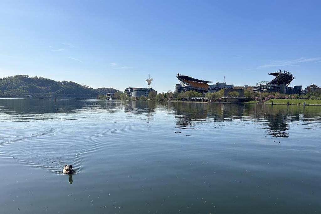 Sprawling Stadium Views Wonderful Location 24-7 Parking Gym Lounge Pittsburgh Dış mekan fotoğraf